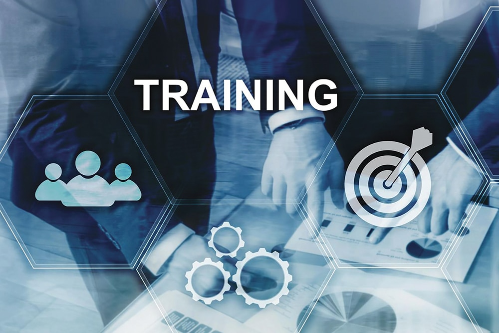 Training, development and adaptability