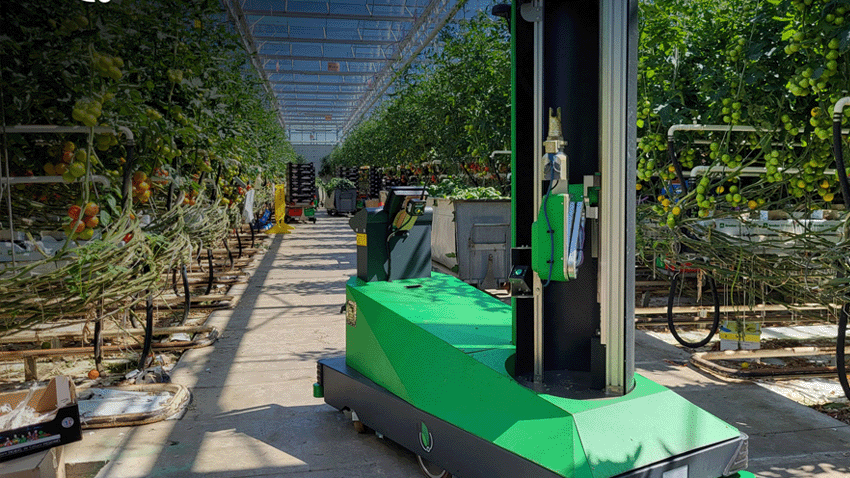 Do you know Aisprid? Robotics and AI at the service of greenhouse agriculture