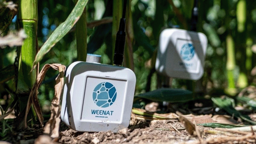 Do you know weekends, the startup that optimizes irrigation thanks to artificial intelligence?