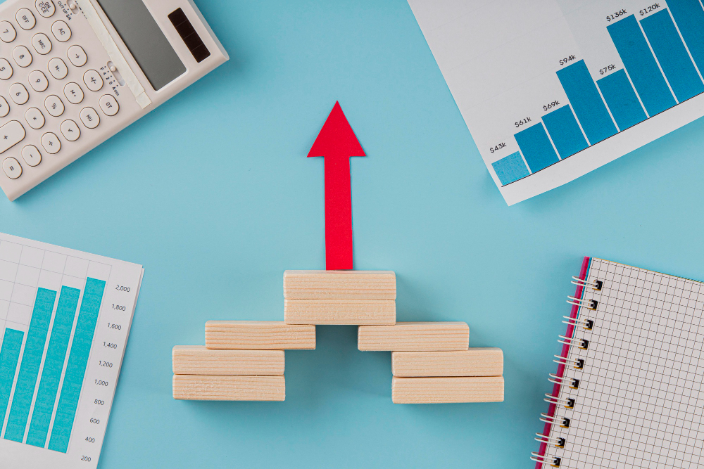 The 5 most profitable strategies to double a turnover in 12 months