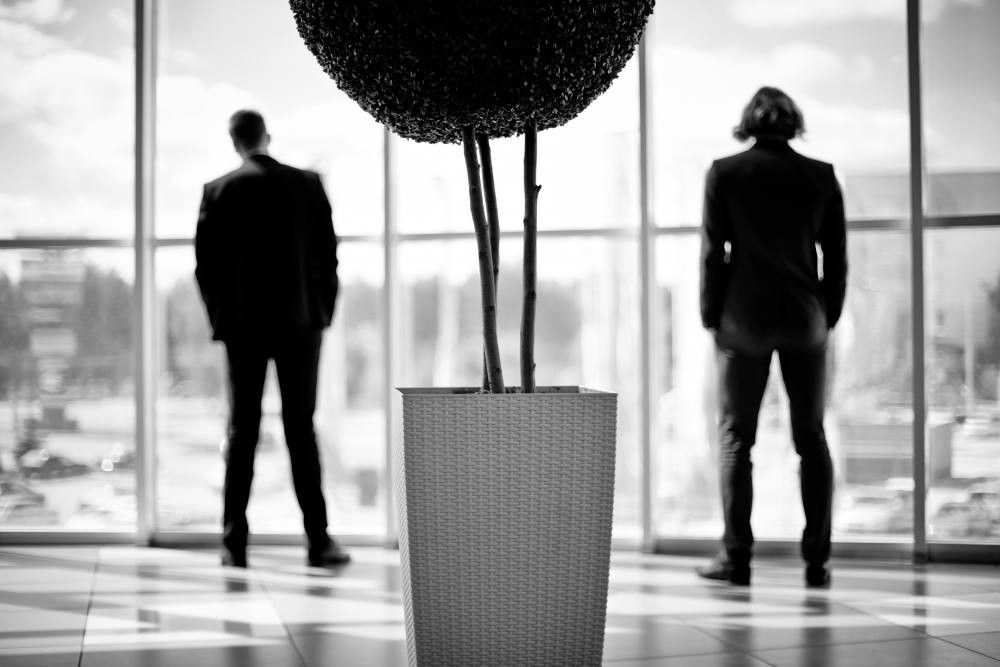 Why do major brands become minimalist?