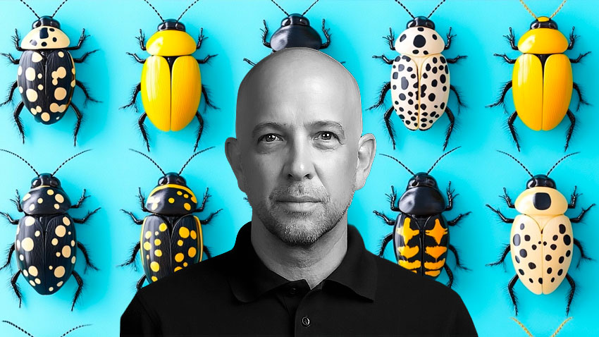 Insects piloted by AI for critical missions, Swarm Biotactics raises 10 million euros