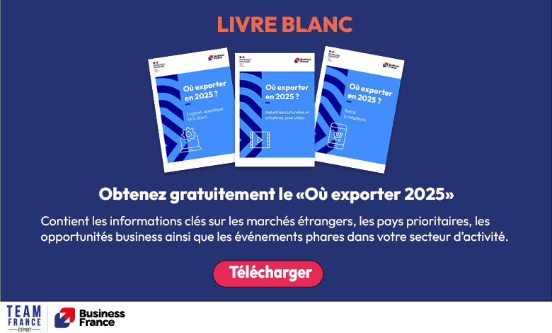 International French engineering and cultural innovation: opportunities and strategies for 2025