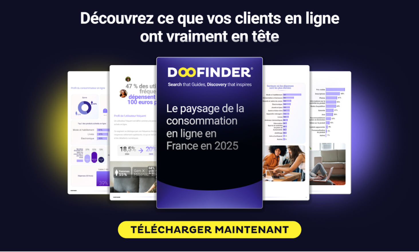 Landscape of online consumption in France in 2025.