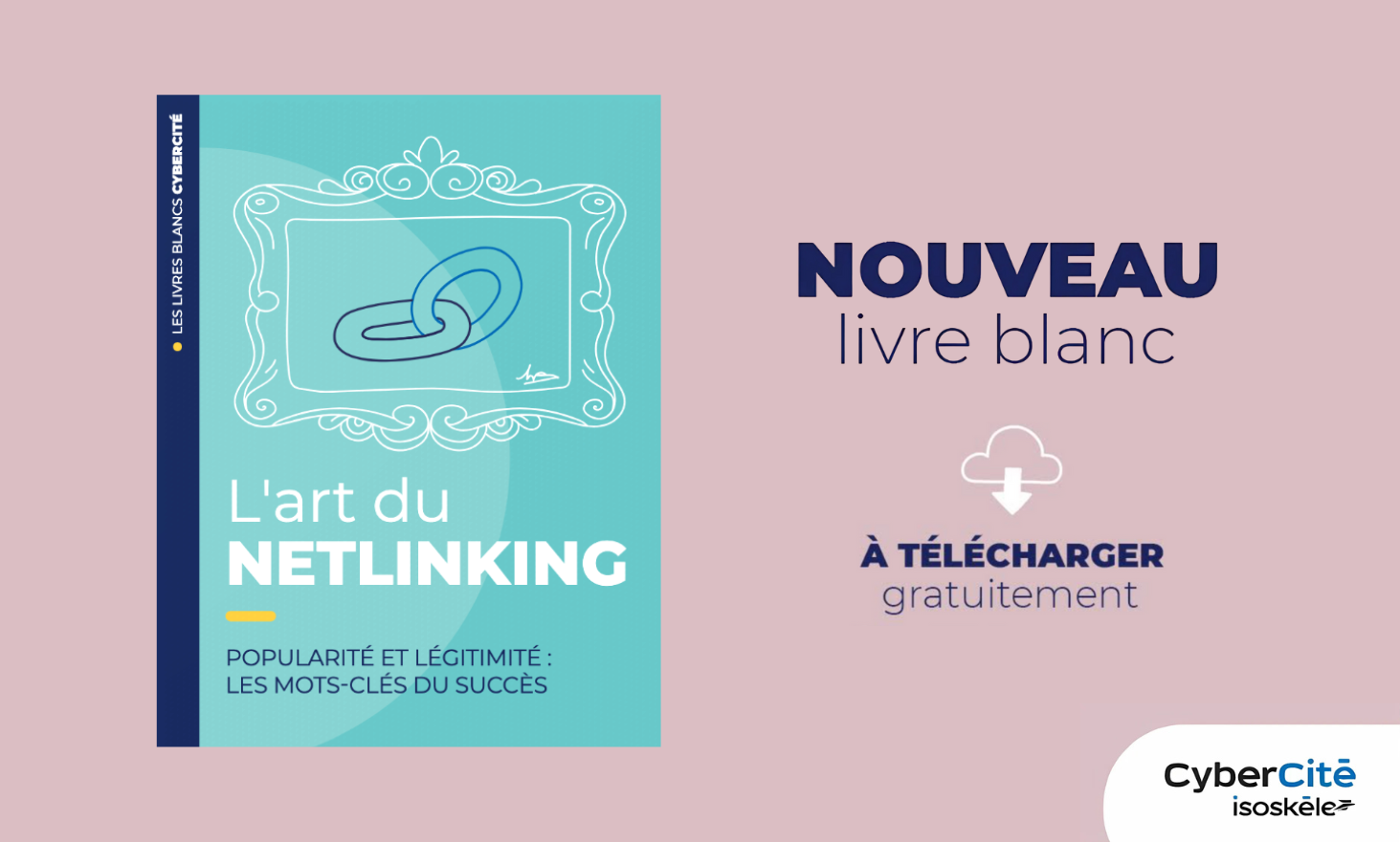 White paper: the art of netlinking