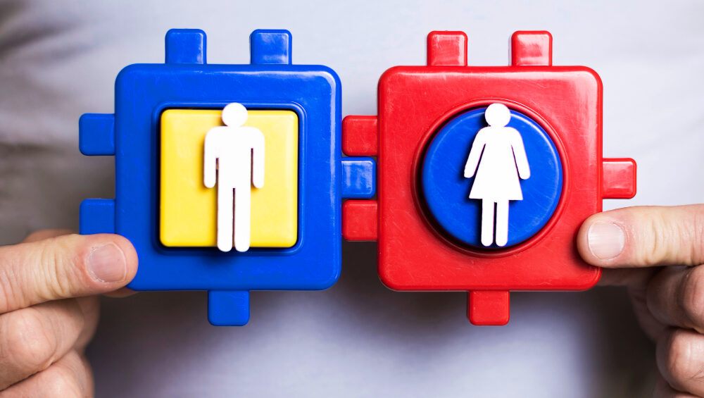 Entrepreneurship in France: when gender equality advances… but not at the same pace as ambitions