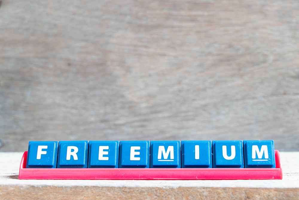 Freemium offers for businesses: professional solutions, not free, but with high added value