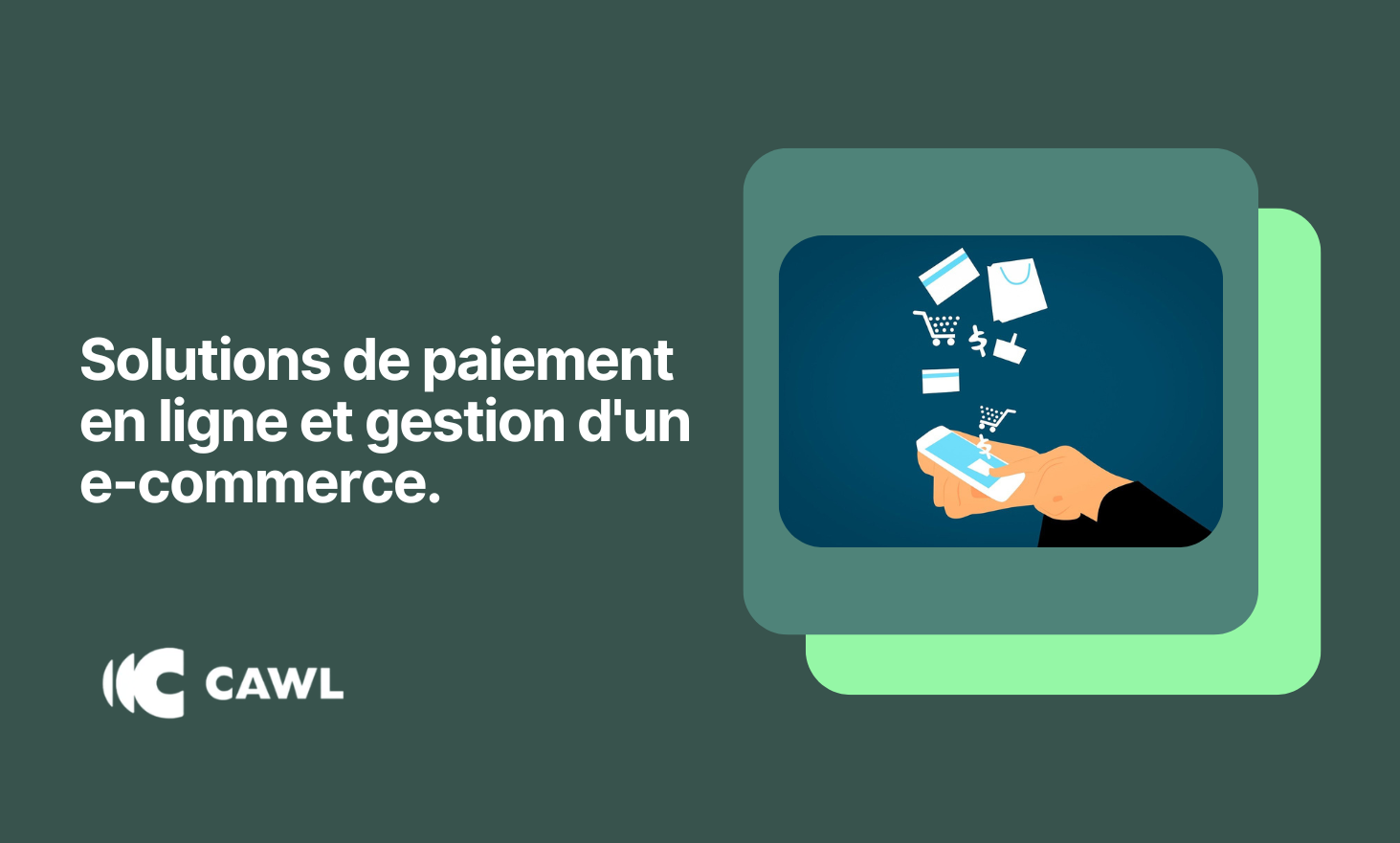Online payment solutions and e-commerce management