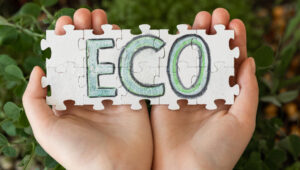 The emergence of the “Ecological Premium”: why the right price is becoming the new norm