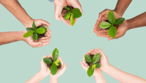 CSR 2026: the transition from “Subi reporting” to “resilience strategy”