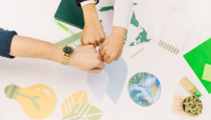 Social and Solidarity Entrepreneurship (ESS): what if your biggest lever for growth was (finally) meaning?