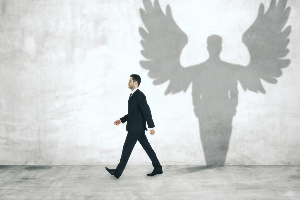 The pack effect and the eye of the wise: the metamorphosis of Business Angel networks