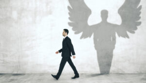 The pack effect and the eye of the wise: the metamorphosis of Business Angel networks