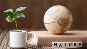 The green gold of uncertainties: when the climate redesigns French entrepreneurship