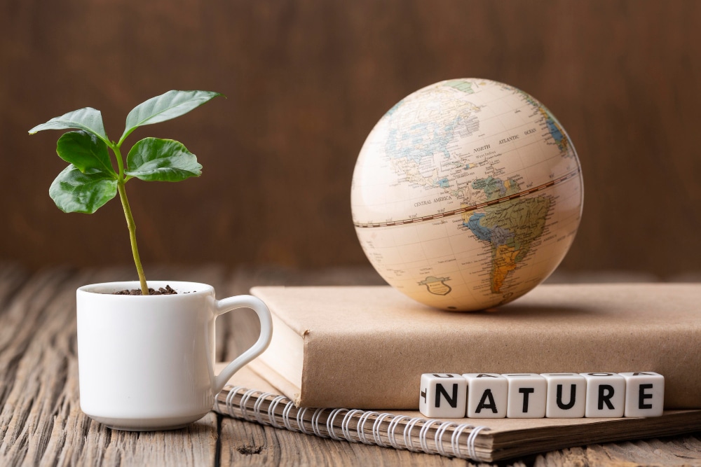 The green gold of uncertainties: when the climate redesigns French entrepreneurship